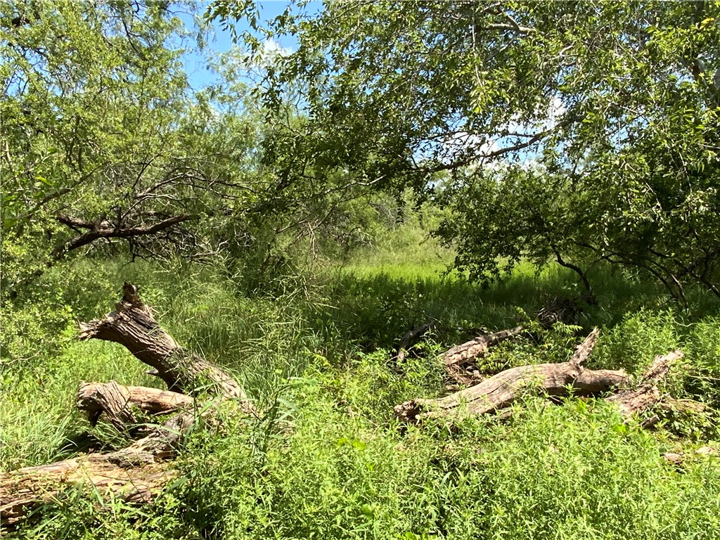 418329 Property Photo 10