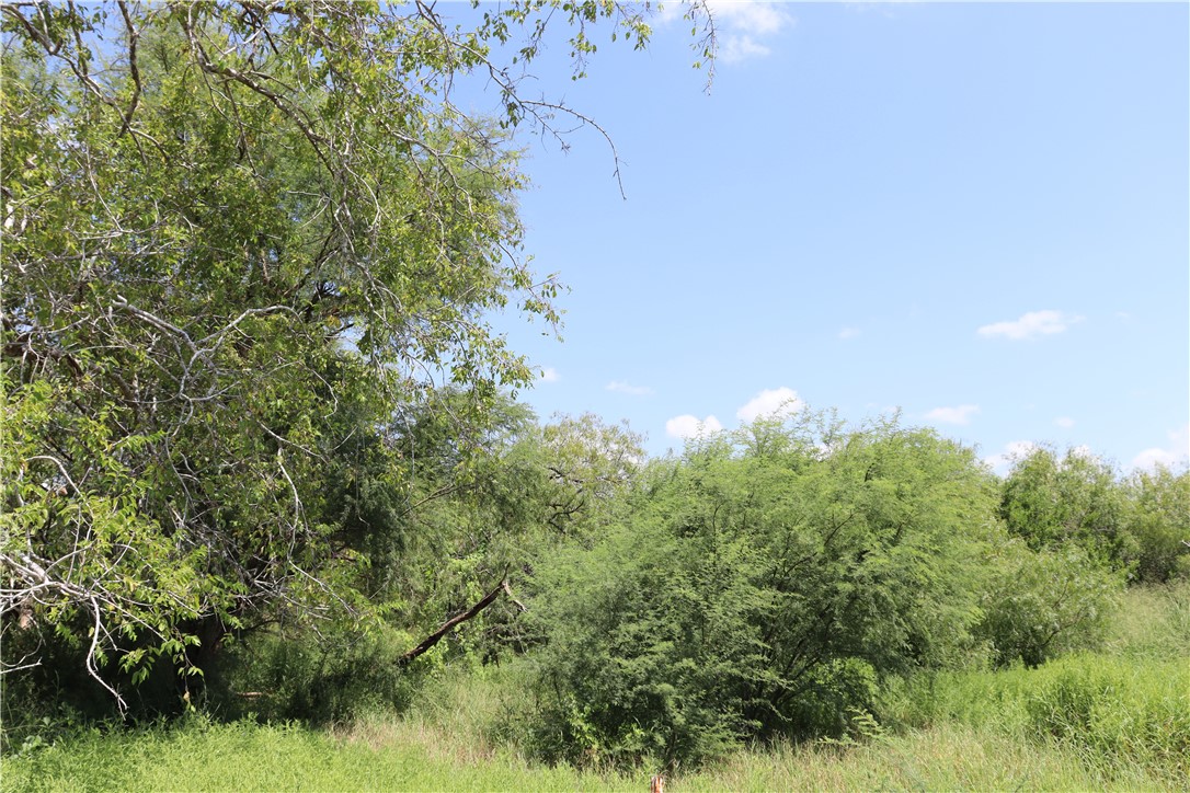 418329 Property Photo 15