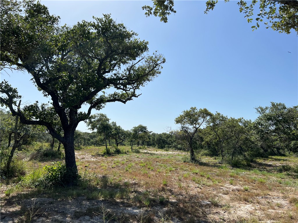 Lot 1-a2 Pace Ave Property Photo 9