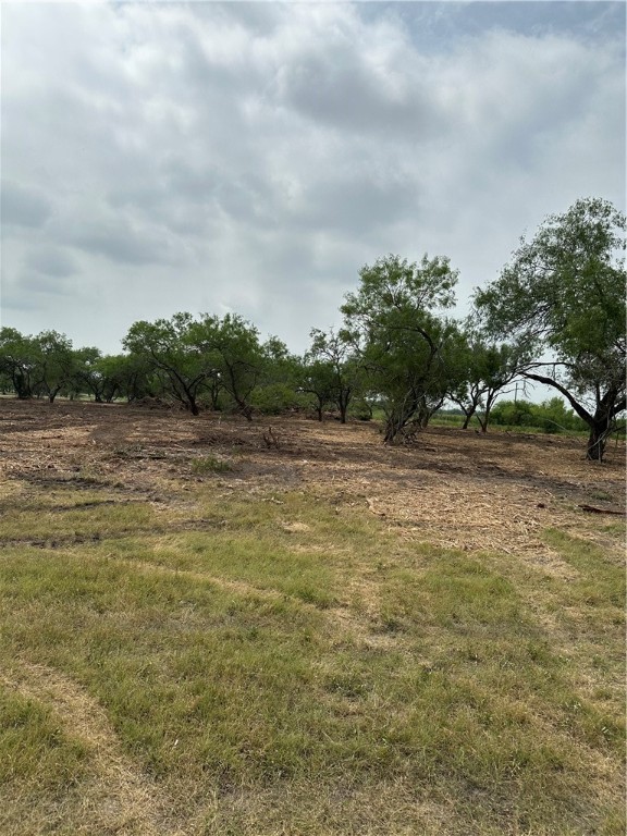 00 E Hwy 44 X Cr 341 Hwy Property Photo 5