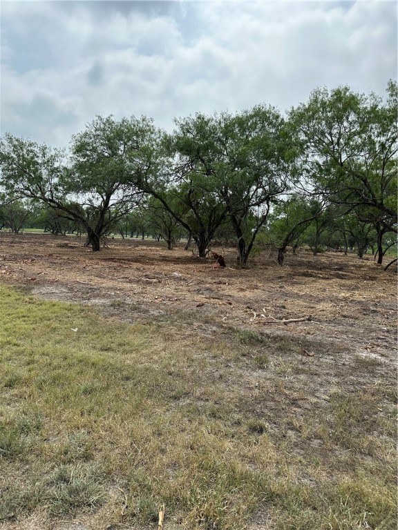 00 E Hwy 44 X Cr 341 Hwy Property Photo 23