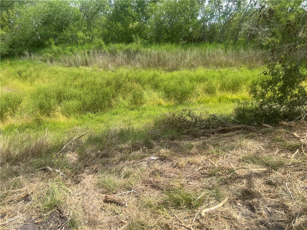 283 N Shore Property Photo 7