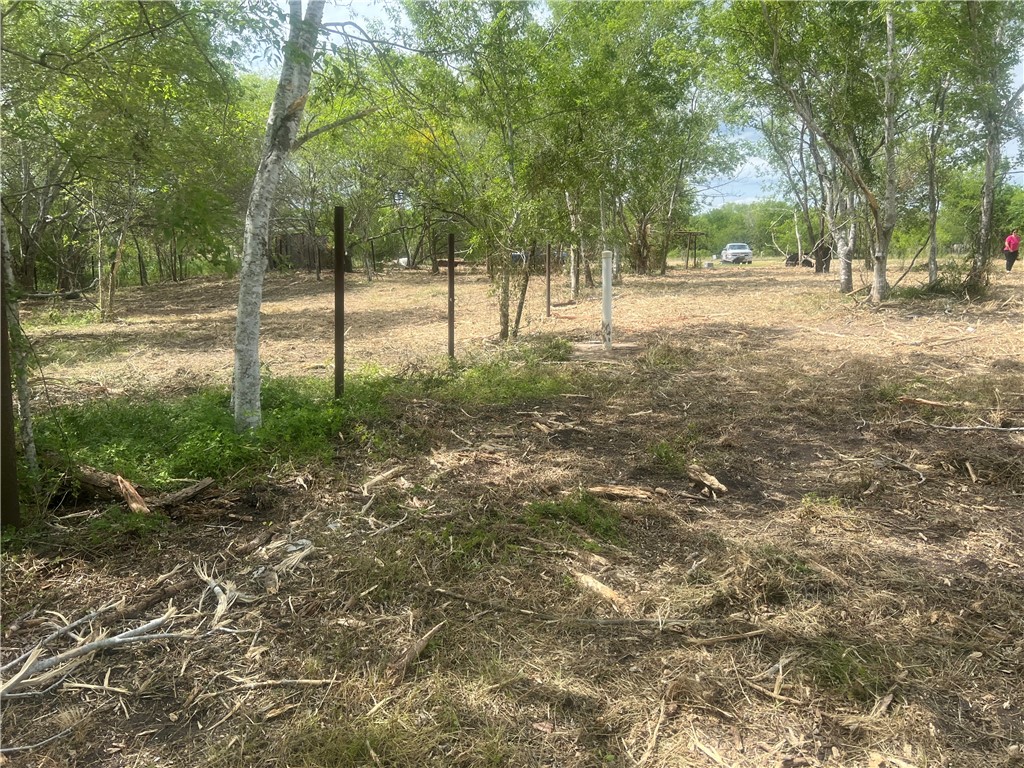 283 N Shore Property Photo 9