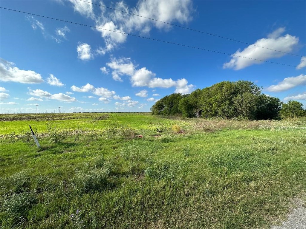 0000 County Road 1064 Property Photo 7