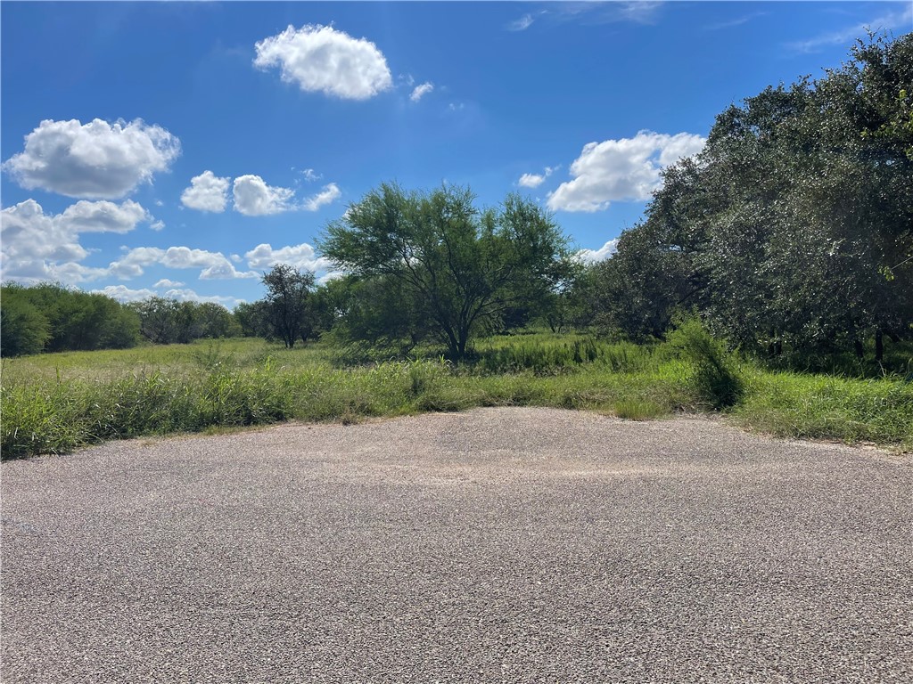 1933 Paloma Property Photo 3