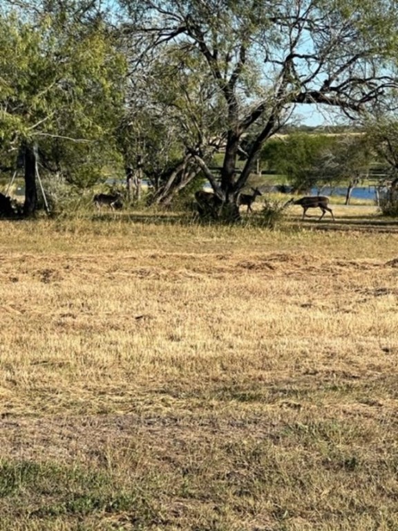 Lot 31 Nakishwana Circle Vii Property Photo 7
