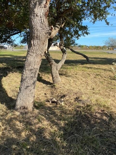 6525 Hwy. 35 N Property Photo 2