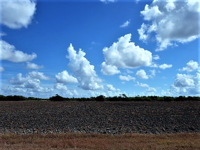 0000 Buddy Ganem (aka Fm 3239) Property Photo 3