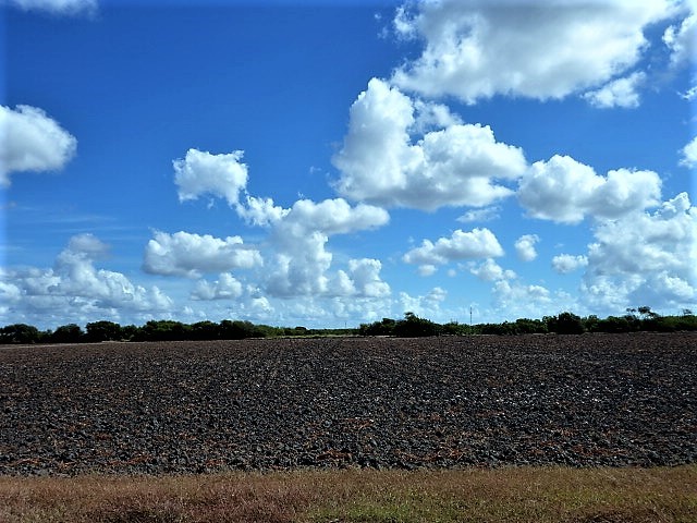 0000 Buddy Ganem (aka Fm 3239) Property Photo 16