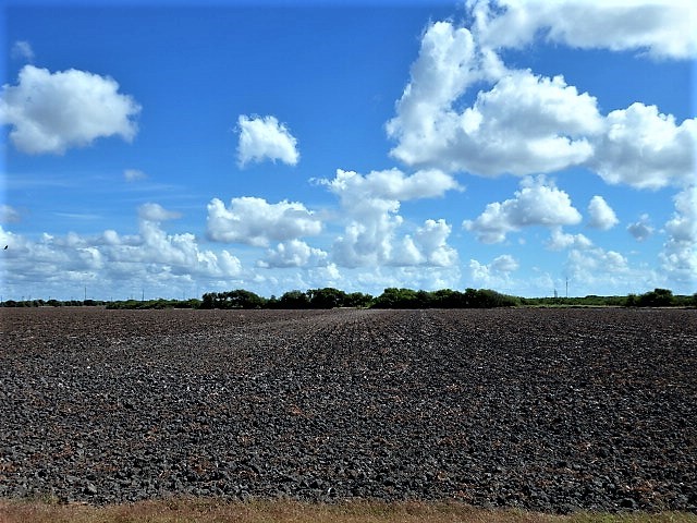 0000 Buddy Ganem (aka Fm 3239) Property Photo 17