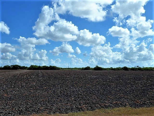0000 Buddy Ganem (aka Fm 3239) Property Photo 19