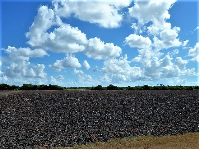 0000 Buddy Ganem (aka Fm 3239) Property Photo 20