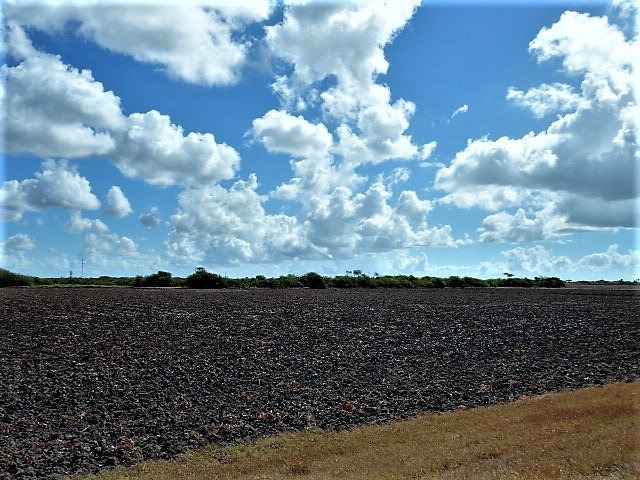 0000 Buddy Ganem (aka Fm 3239) Property Photo 21