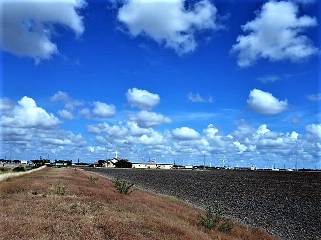 0000 Buddy Ganem (aka Fm 3239) Property Photo 25