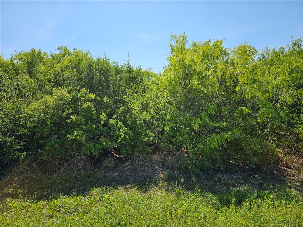 2106 Third St Property Photo 1