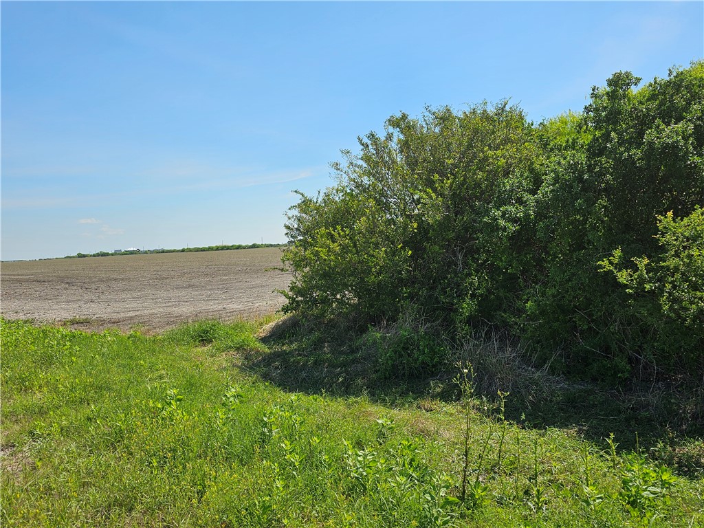 2106 Third St Property Photo 3