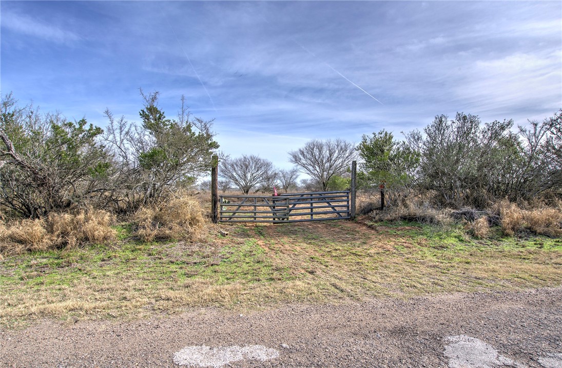 124 County Road 164 Property Photo 5