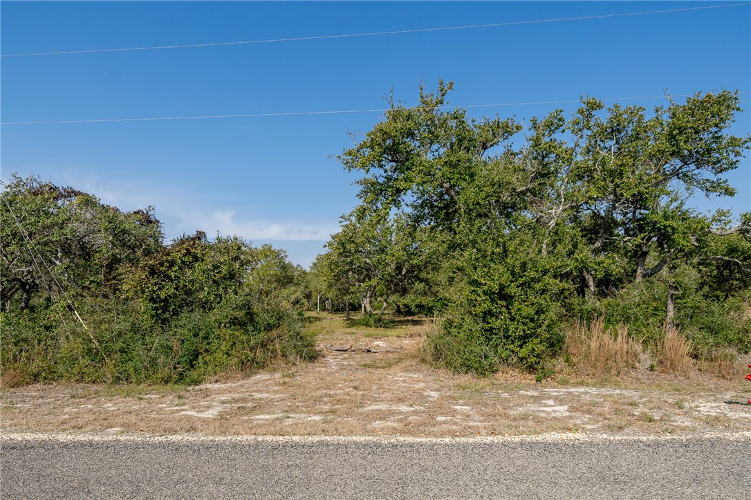 1901 Pace Ave Property Photo 2