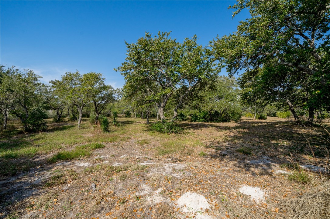 1901 Pace Ave Property Photo 3