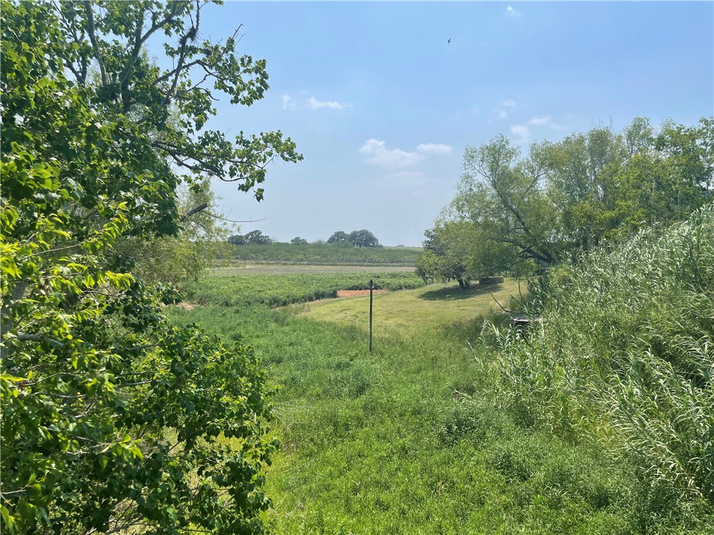 167 Buckeye Knoll Road Property Photo 31