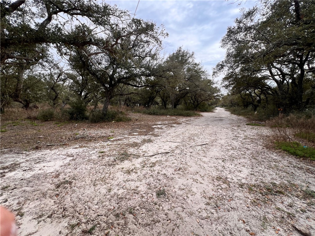 2301-2401 Fm 2165 Property Photo 4