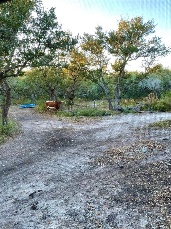 2301-2401 Fm 2165 Property Photo 12