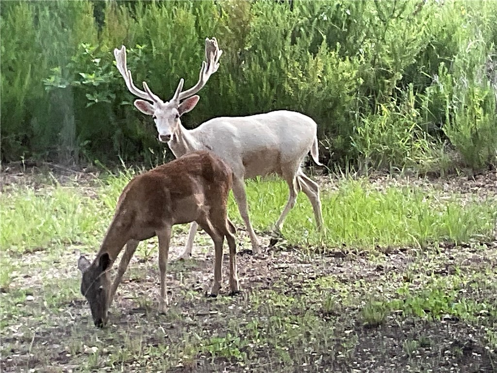 322-342 Whispering Woods Dr Property Photo 29