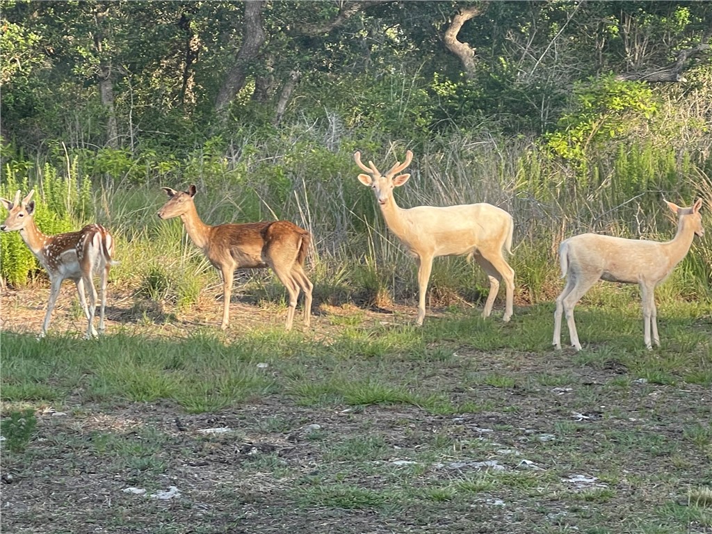 322-342 Whispering Woods Dr Property Photo 30