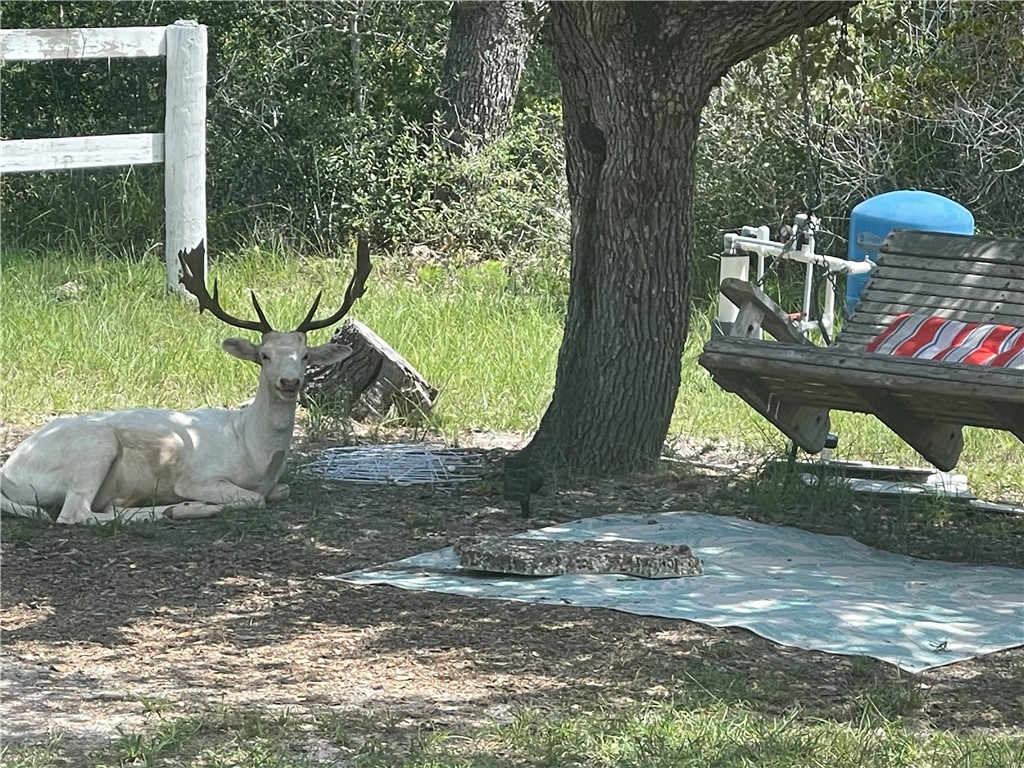 322-342 Whispering Woods Dr Property Photo 31