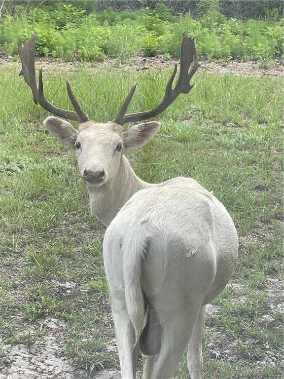 322-342 Whispering Woods Dr Property Photo 32