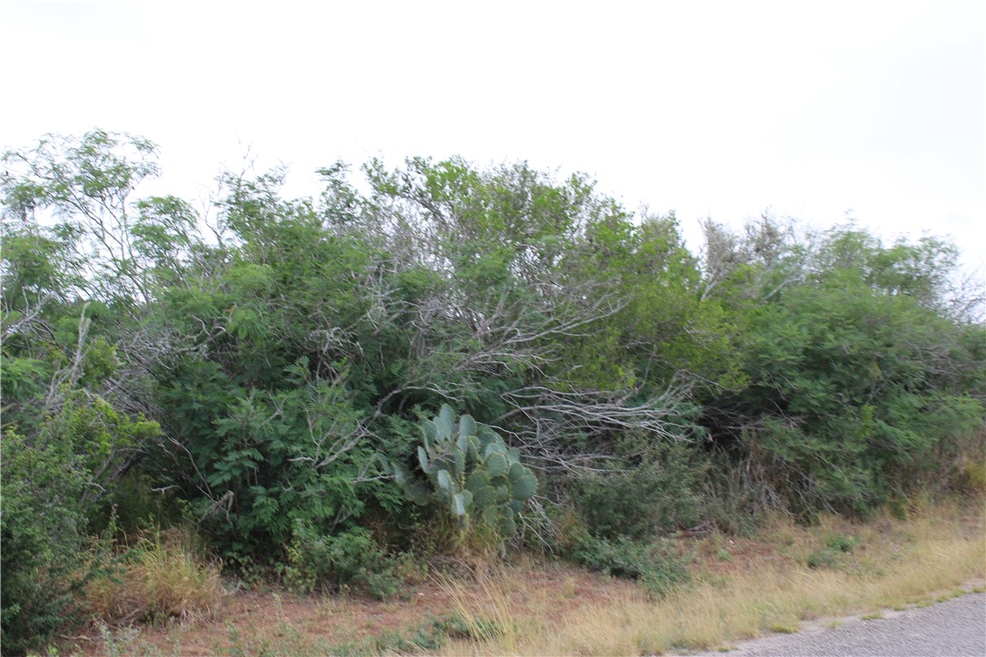 00 Cenesia Dr Property Photo 3