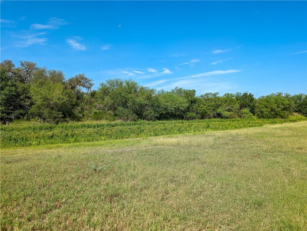 155 Buffalo Road Property Photo 39