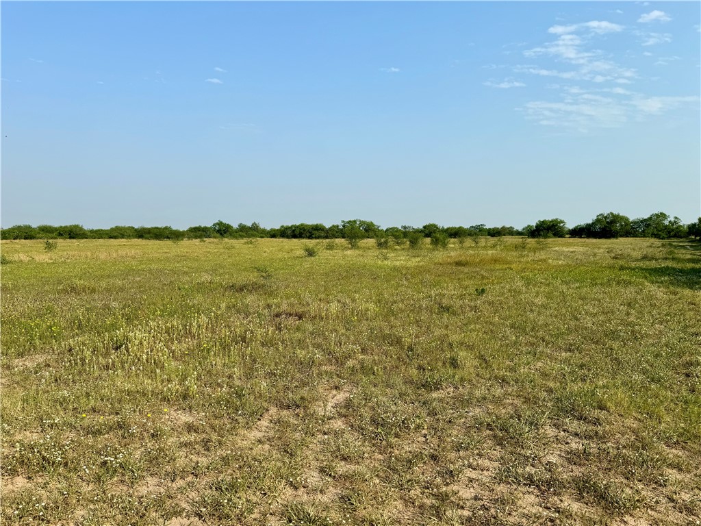 000 County Road 442 442 Property Photo