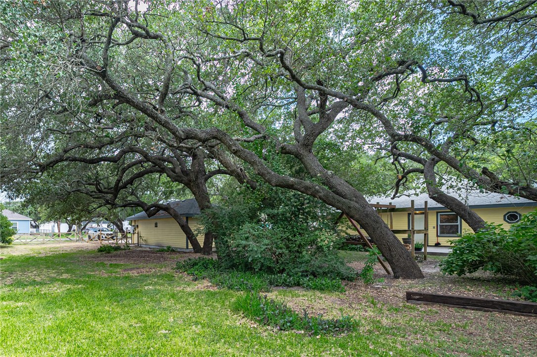 308 Cactus St Property Photo 14