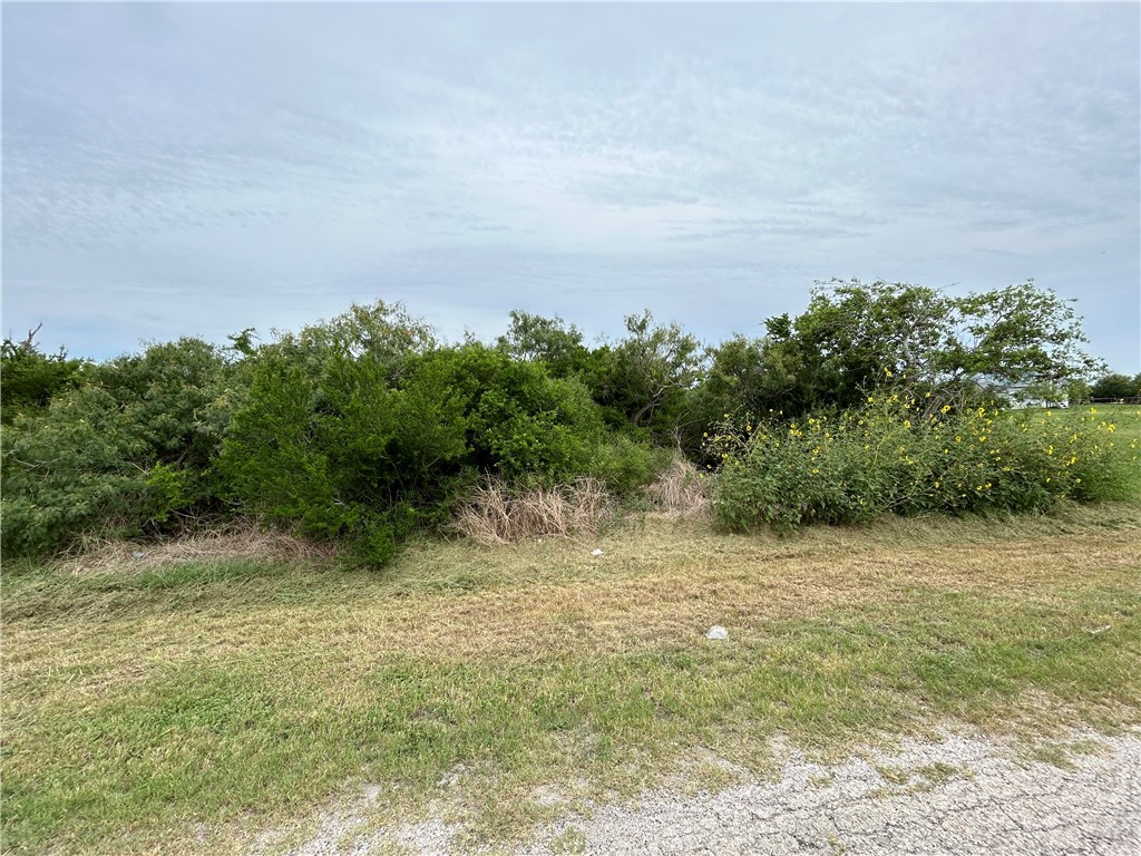 1011 First St Property Photo 1