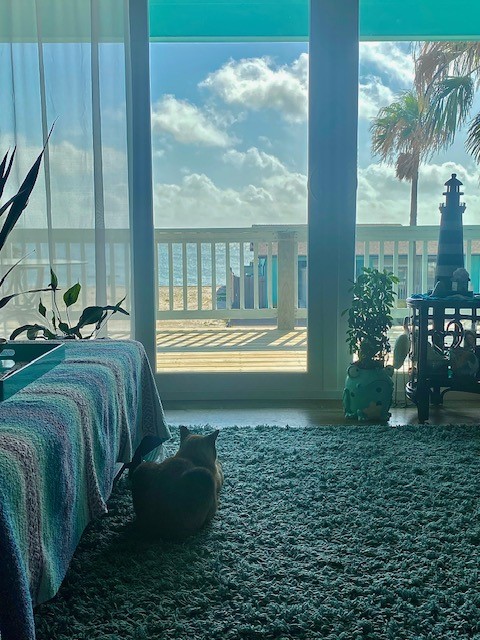 1811 Bay Shore Drive Property Photo 3