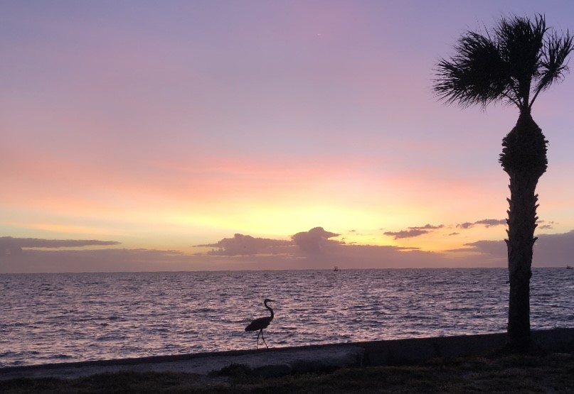 1811 Bay Shore Drive Property Photo 15