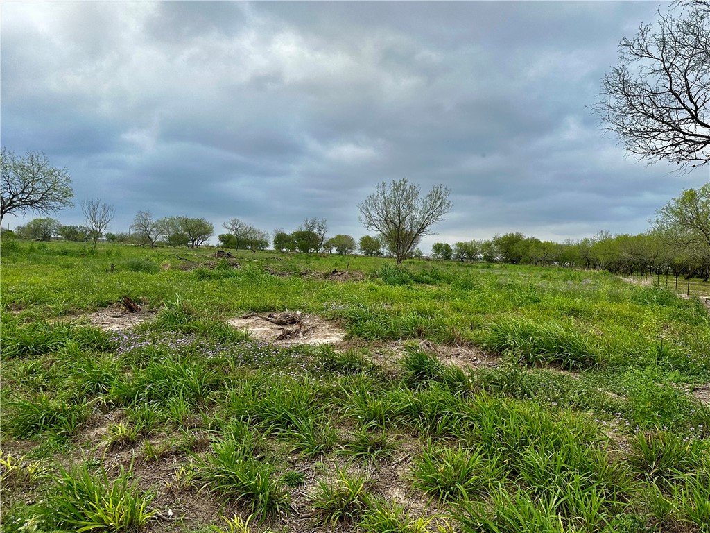 5966 Sweet Water Road Property Photo 4