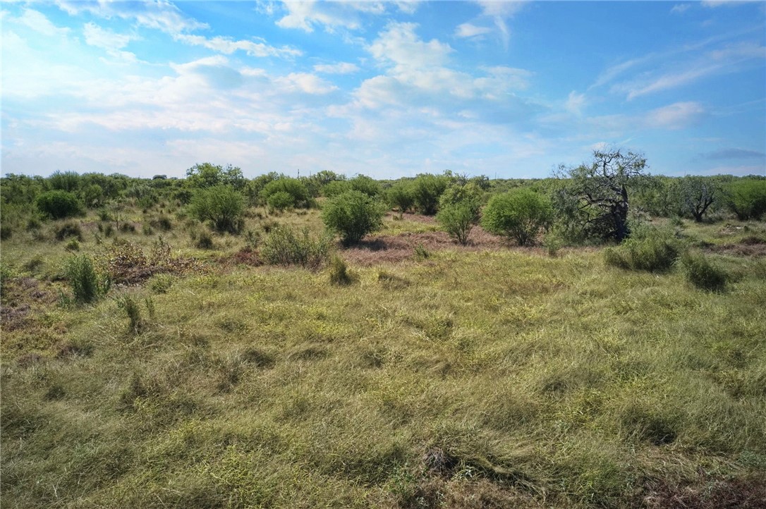 12093 Villarreal St Property Photo 4