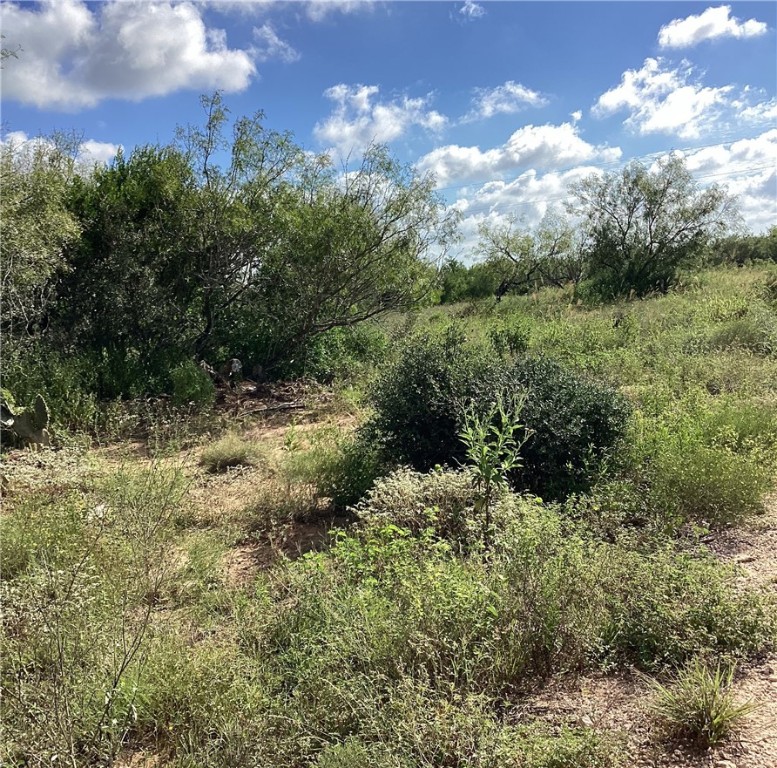 157 Quail Run Property Photo 4