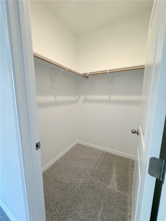 2550 Las Estrellas St Property Photo 12