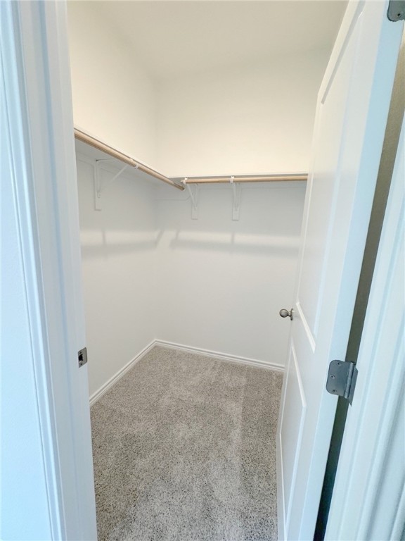 2550 Las Estrellas St Property Photo 16