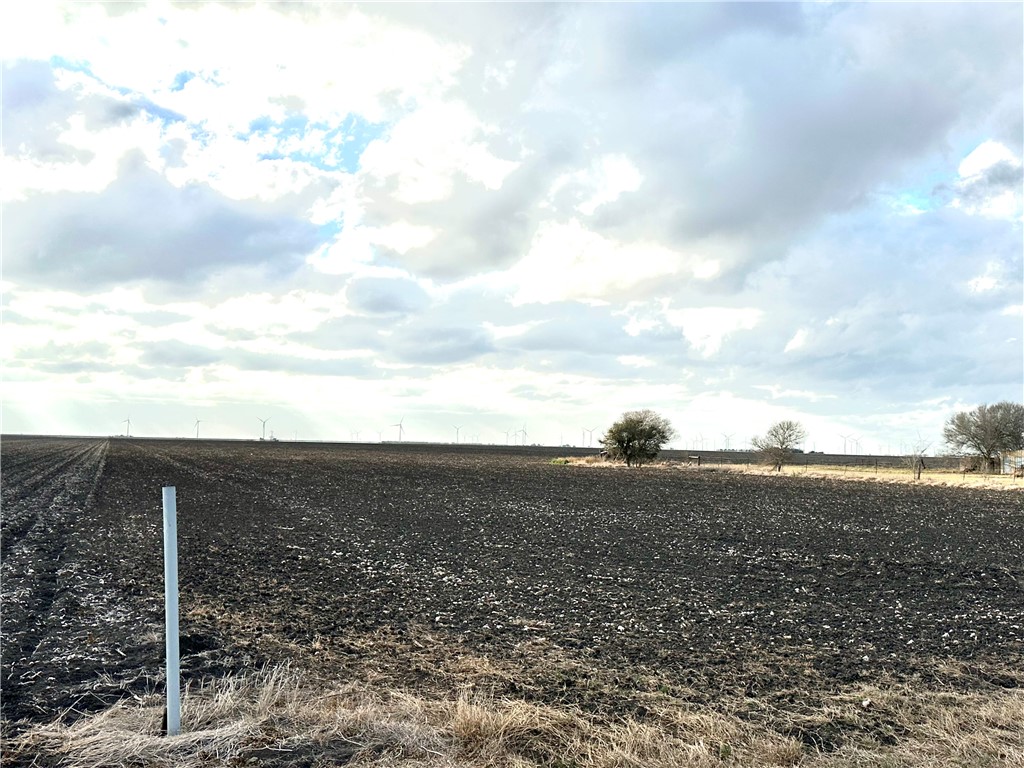 9341 Fm 796 Property Photo 3