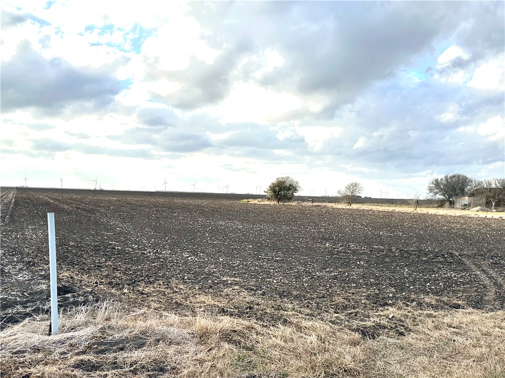 9341 Fm 796 Property Photo 4