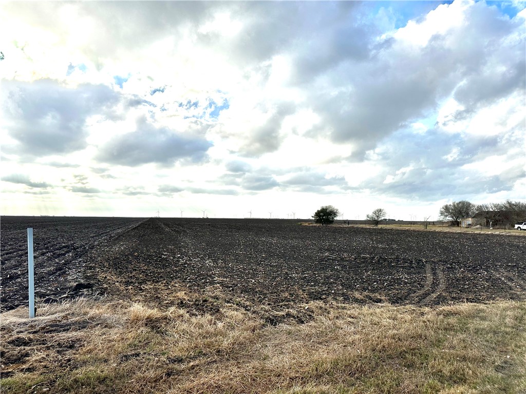 9341 Fm 796 Property Photo 5