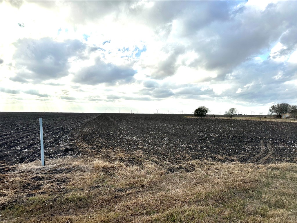 9341 Fm 796 Property Photo 6