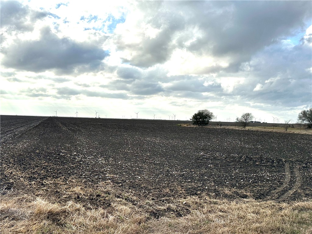 9341 Fm 796 Property Photo 7