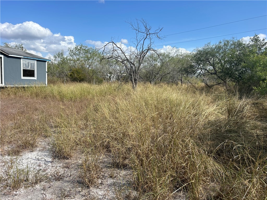 6283 County Road 523 Property Photo 11