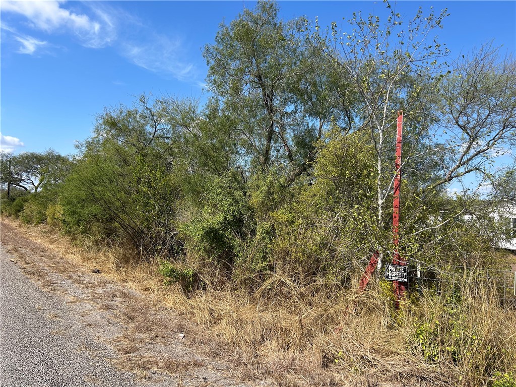 6283 County Road 523 Property Photo 12