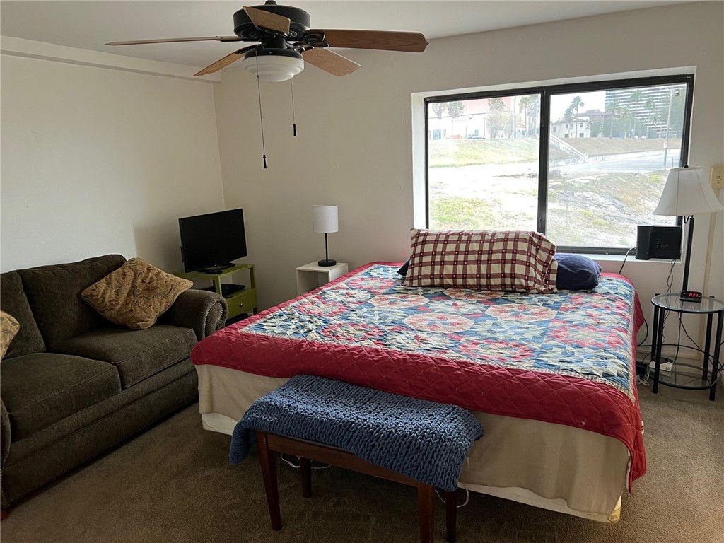 520 S Chaparral St 204 Property Photo 11